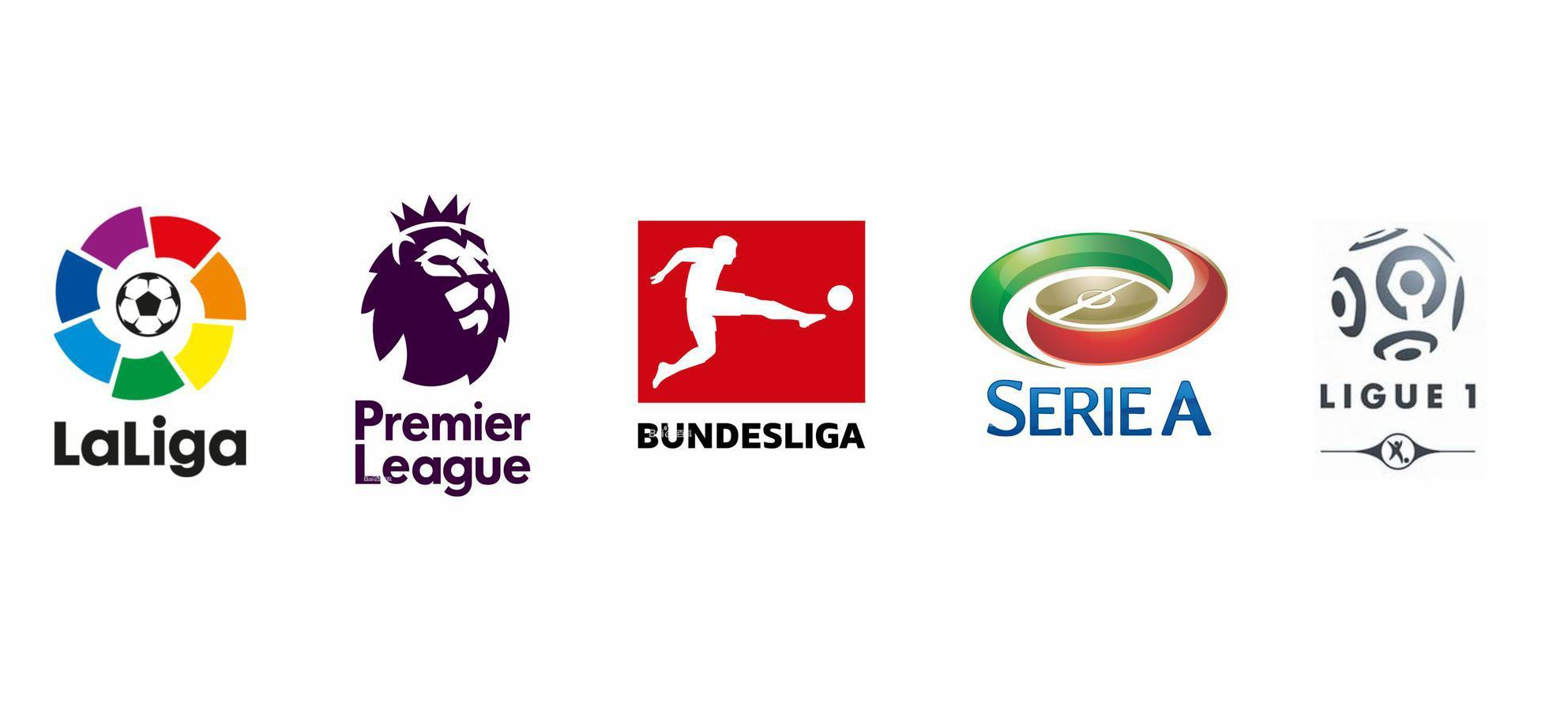 阿莫林能为 阿莫林能为