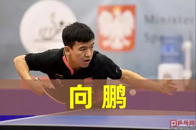 若不回到隐 若不回到隐